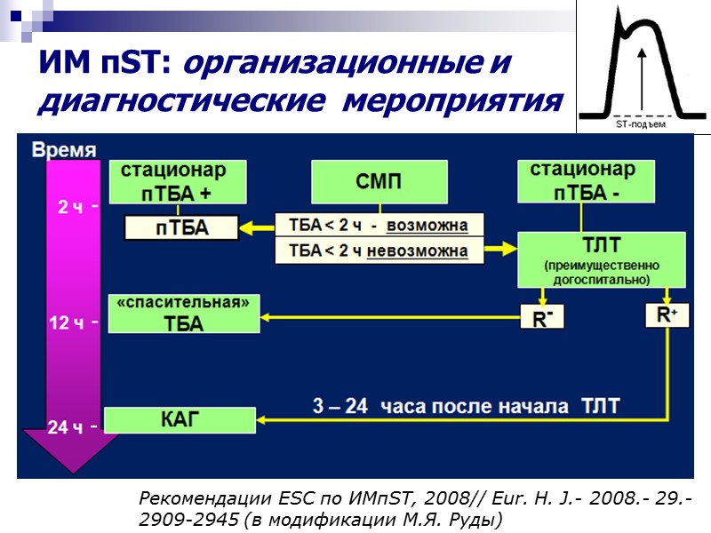 ИМ пST: организационные и диагностические  мероприятия Рекомендации ESC по ИМпST, 2008// Eur. H.